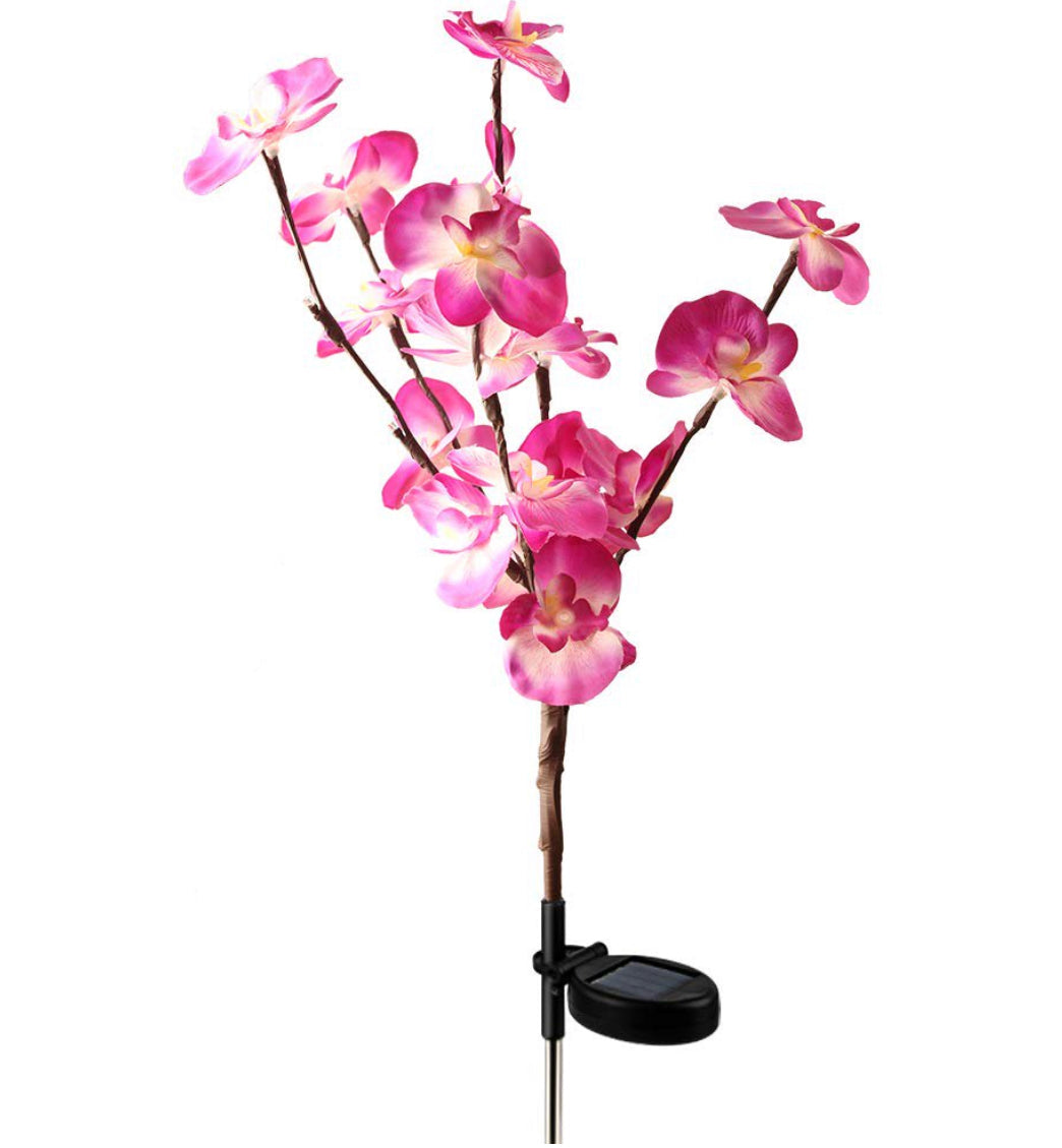 LED Solar Orchid Lights with Color Transition - Twin Pack