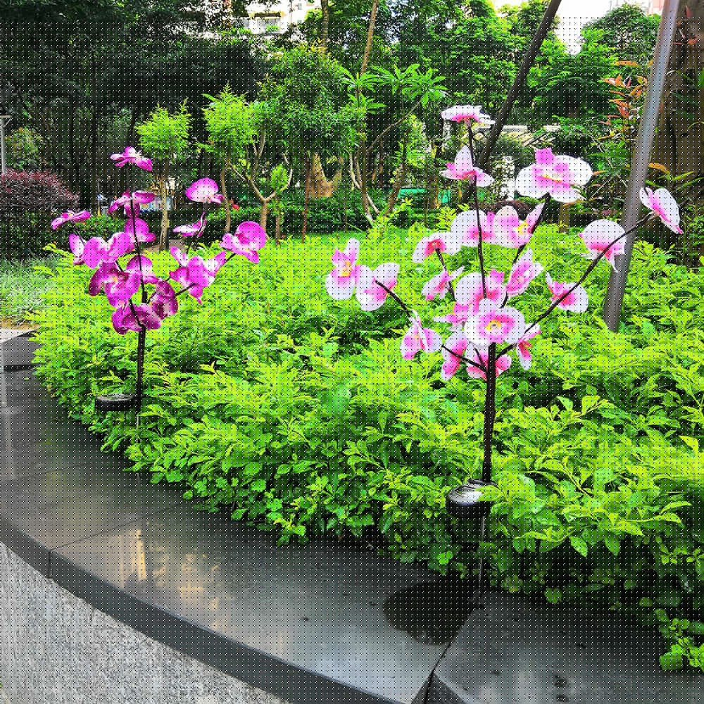 LED Solar Orchid Lights with Color Transition - Twin Pack