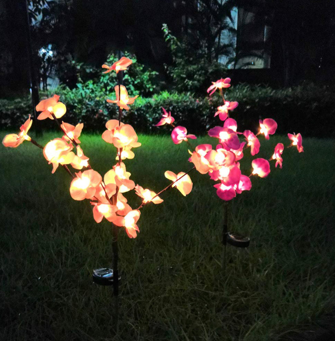 LED Solar Orchid Lights with Color Transition - Twin Pack