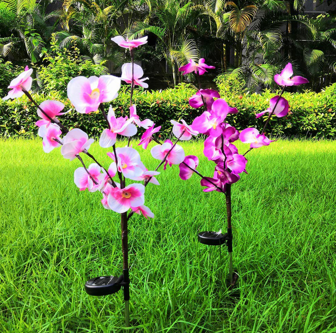 LED Solar Orchid Lights with Color Transition - Twin Pack