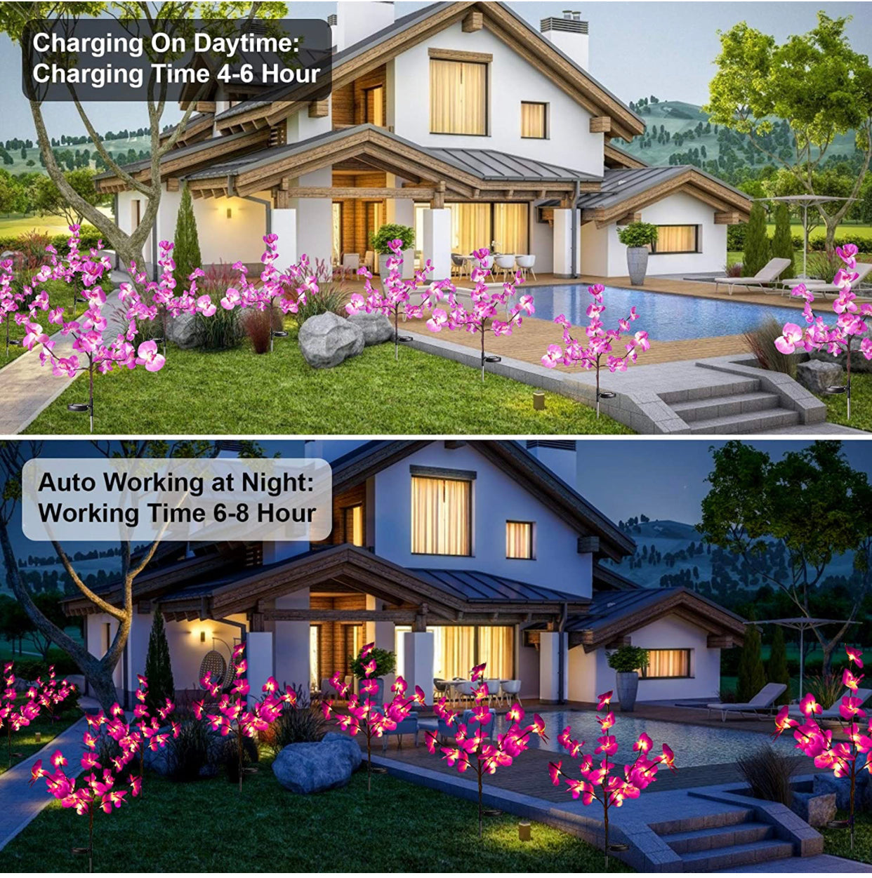LED Solar Orchid Lights with Color Transition - Twin Pack