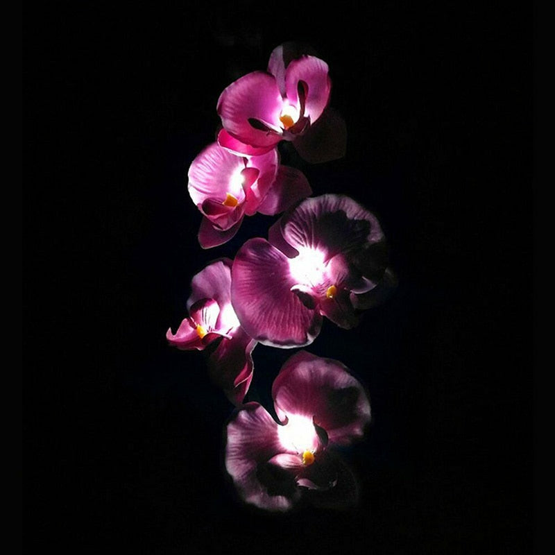 LED Solar Orchid Lights with Color Transition - Twin Pack