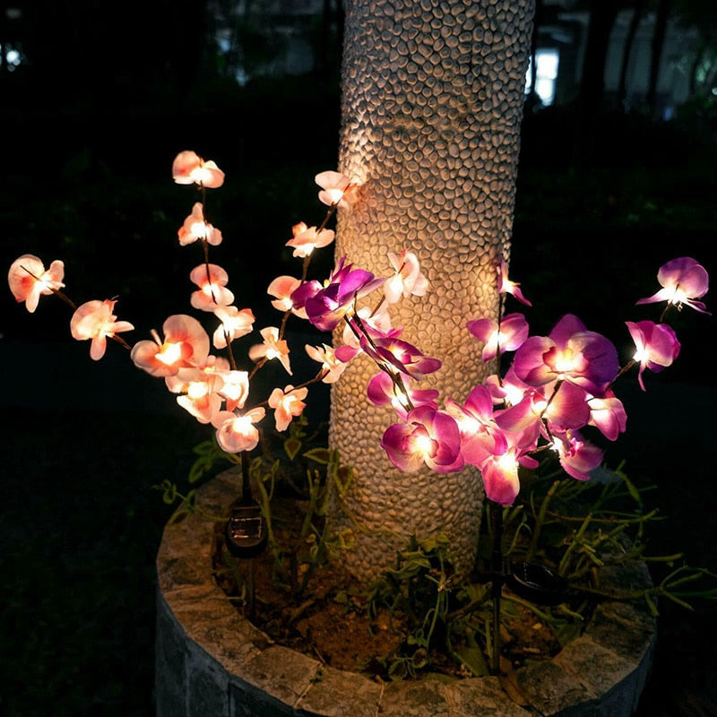 LED Solar Orchid Lights with Color Transition - Twin Pack