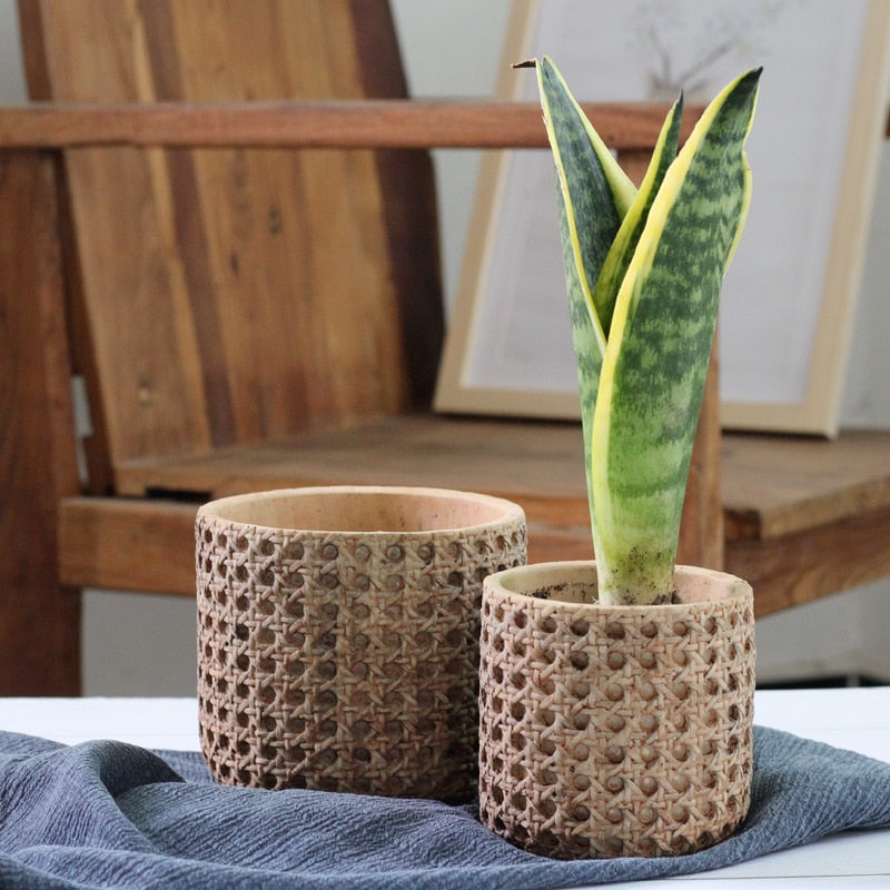 Rattan Cement Planter with Natural Texture