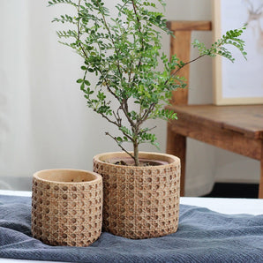 Rattan Cement Planter with Natural Texture