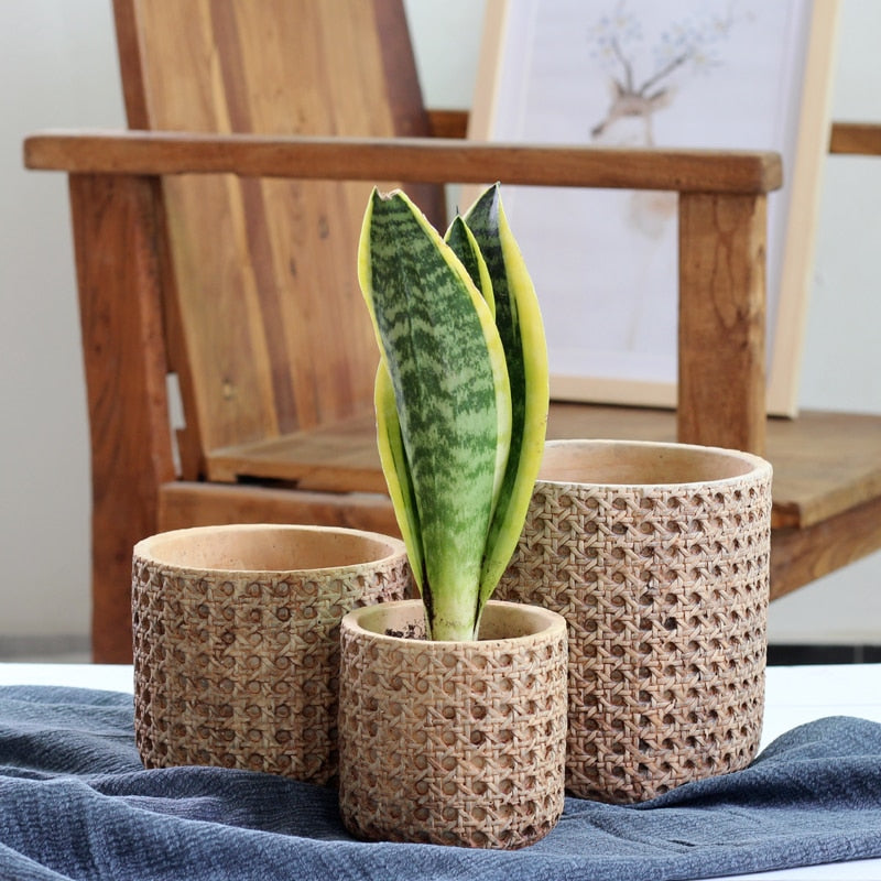 Rattan Cement Planter with Natural Texture