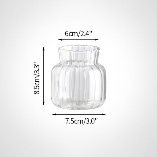 Glass Plant Vases - Nordic Style Transparent Glass