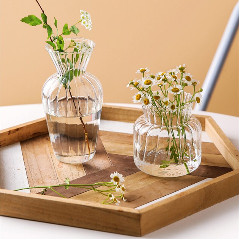 Glass Plant Vases - Nordic Style Transparent Glass