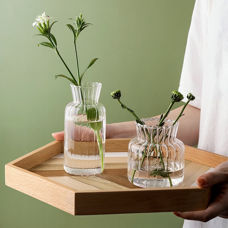 Glass Plant Vases - Nordic Style Transparent Glass