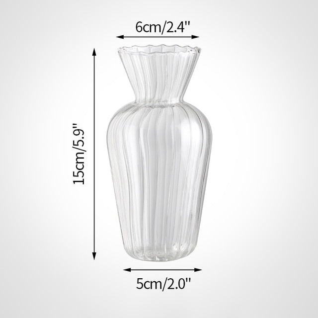 Glass Plant Vases - Nordic Style Transparent Glass