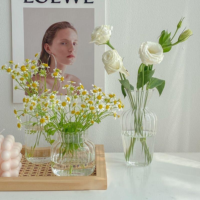 Glass Plant Vases - Nordic Style Transparent Glass