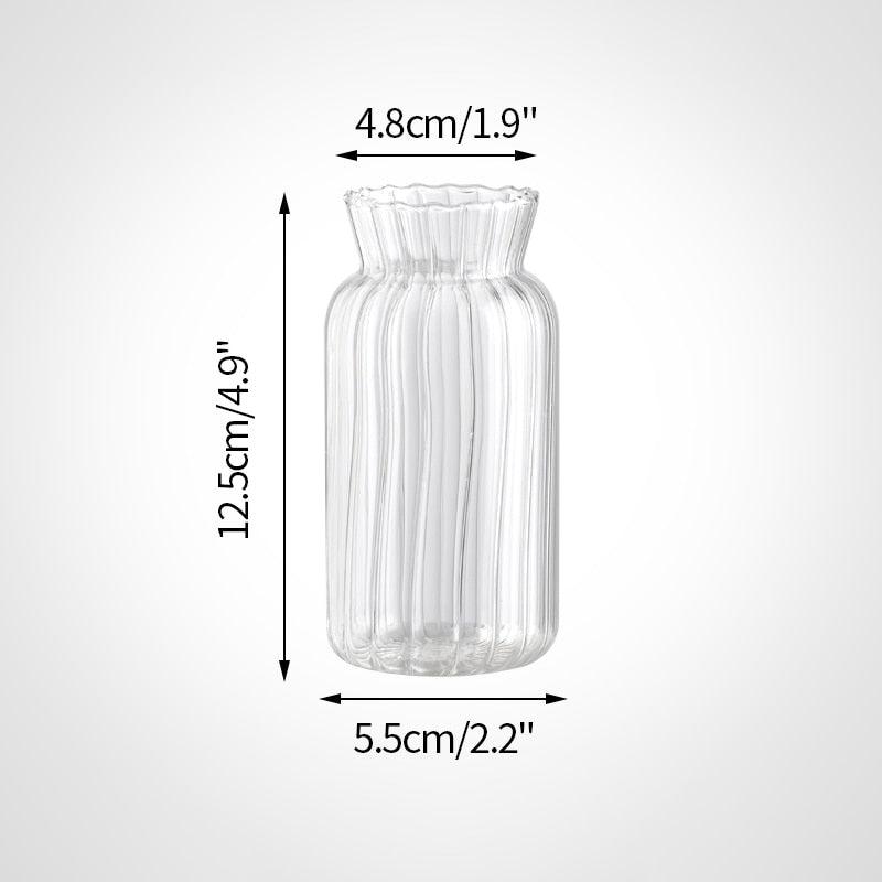 Glass Plant Vases - Nordic Style Transparent Glass
